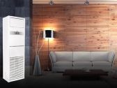 Điều hòa tủ đứng 1 chiều Nagakawa NP-C50R2H21 50000Btu/h hàng 99%